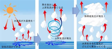 台風 水|台風とは